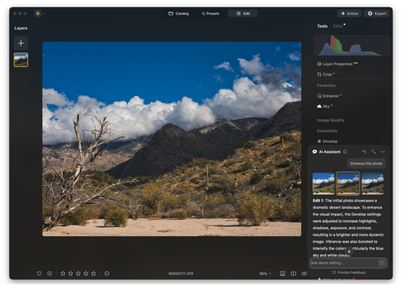 Screenshot of photo editing software displaying a desert landscape with mountains and bare tree.
