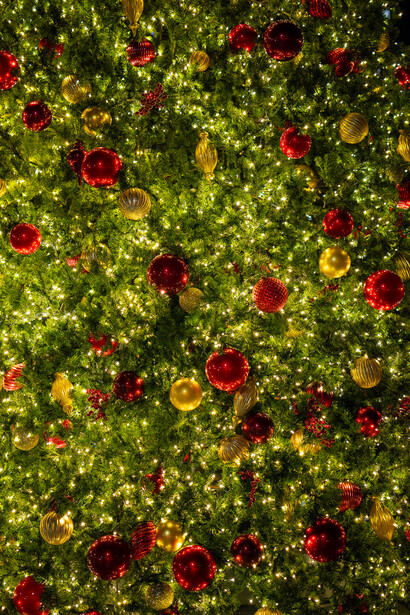 Dense evergreen foliage studded with red and gold ornamental baubles creating a festive pattern.