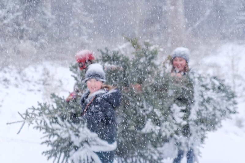 Three people holding a snow-covered evergreen wreath during heavy snowfall.