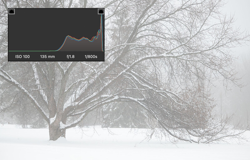 Bare tree branches in heavy snow and fog with exposure data overlay showing ISO 100, 135mm, f/1.8, 1/800s.