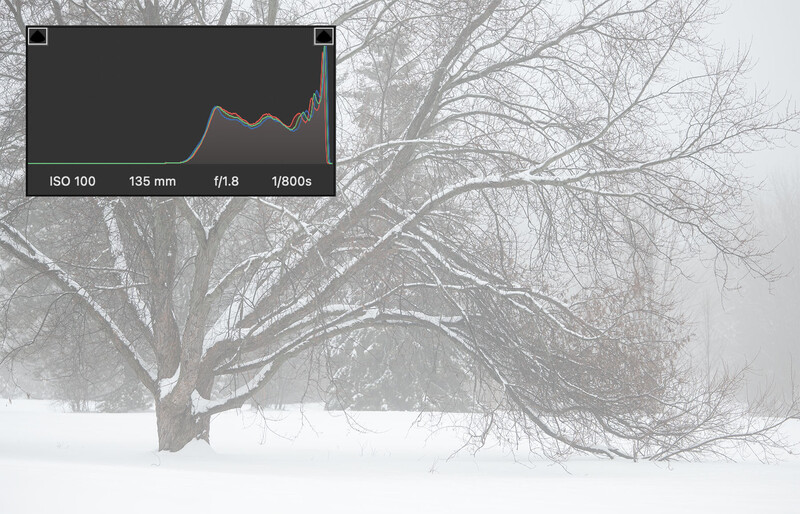 Snow-covered landscape with bare tree branches; camera settings overlay showing ISO 100, 135mm, f/1.8, 1/800s.