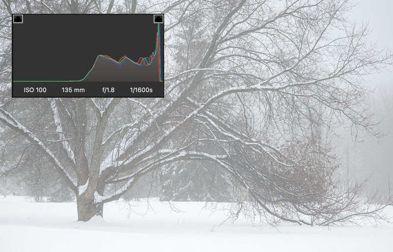 Bare tree in snow with exposure histogram overlay showing camera settings.
