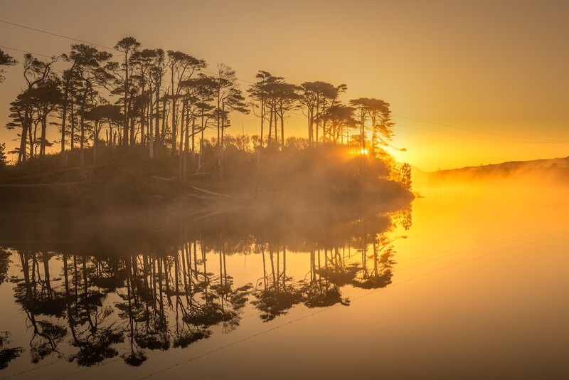 Tall pine trees silhouetted against golden sunrise, reflected perfectly in still water below.