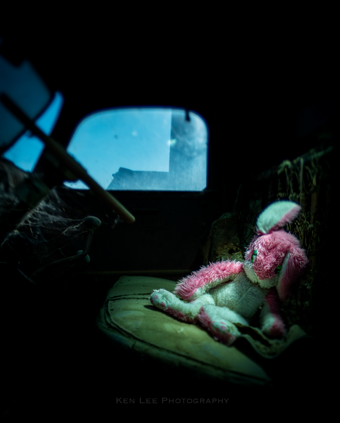 Interior car view with pink flowers on green fabric and mountains visible through windshield.