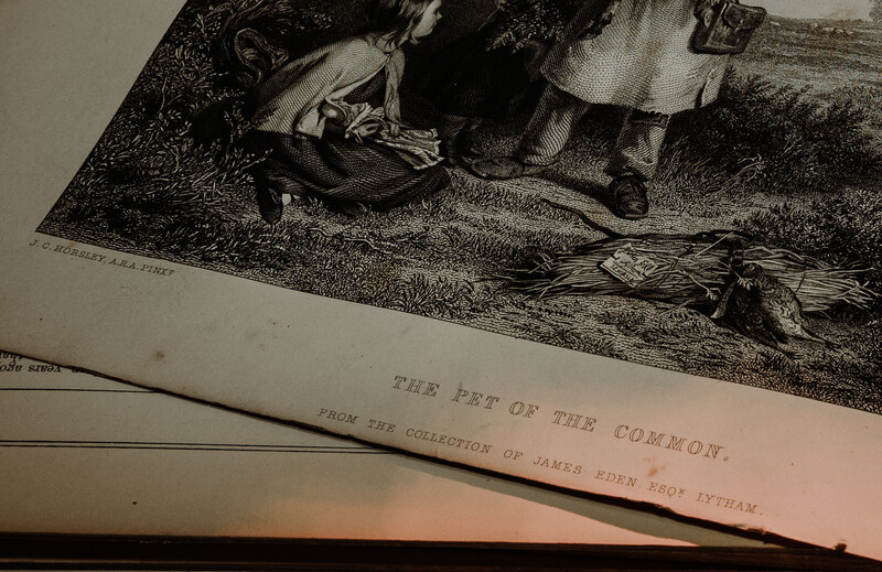 Antique engraving print titled 'The Pet of the Common' from a historical collection, shown at an angle with visible texture and aging.