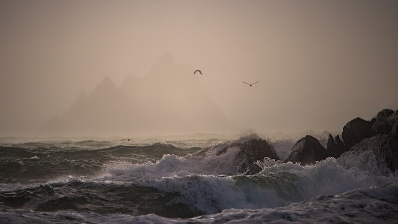 Rough ocean waves crash against dark rocks beneath an overcast sky with two birds in flight.