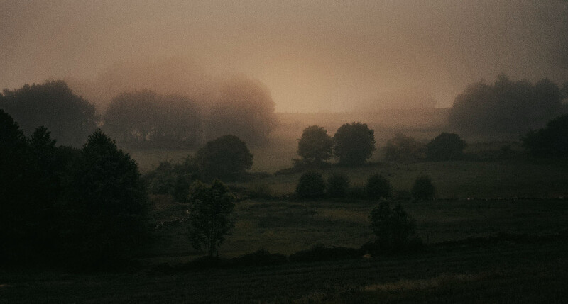 Misty rural landscape at dawn with scattered trees silhouetted against a glowing sky.