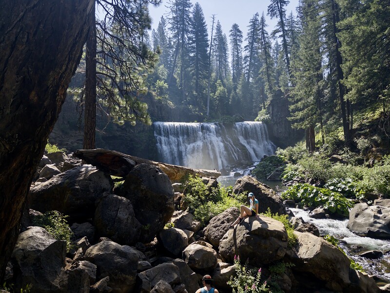 Waterfall cascading through a dense conifer forest with large boulders in the foreground.