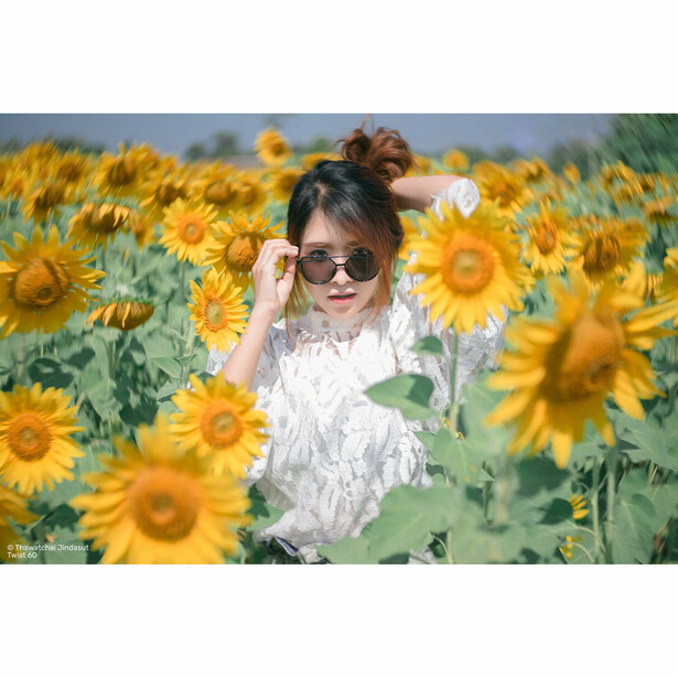 Woman in white shirt and sunglasses posing in a sunflower field.