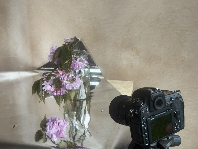 Professional DSLR camera positioned to photograph pink flowers in a glass vase against a neutral backdrop.