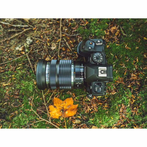 DSLR camera with telephoto lens on moss and grass with a yellow flower beside it.