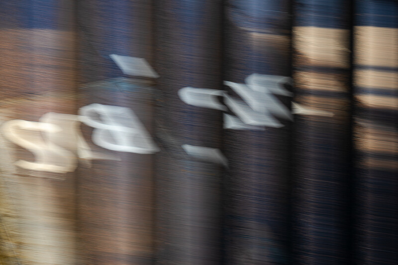 Motion-blurred image of white birds in flight against dark striped background.