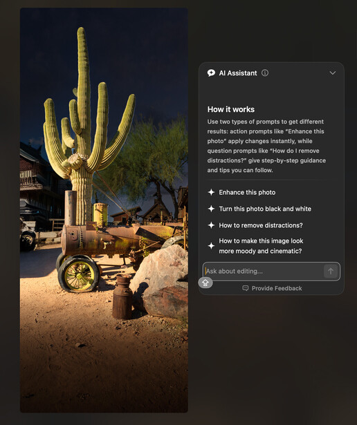 Tall saguaro cactus illuminated at night with warm accent lighting and surrounding landscape.