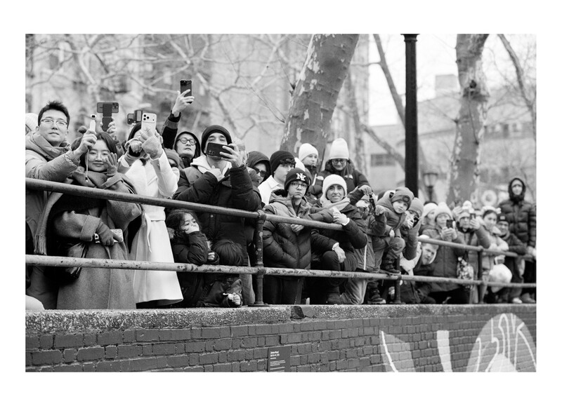 Large crowd of people lined up behind a railing, many holding cameras and phones, observing something off-frame.