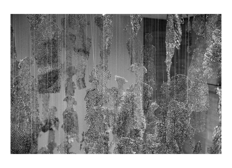Hanging vines with delicate cascading foliage create a layered, ethereal composition against a weathered architectural background.