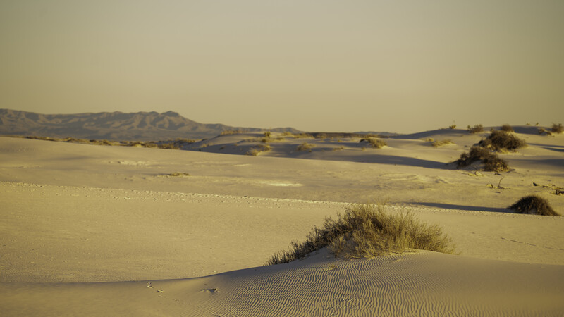 Desert landscape with rippled sand dunes, sparse vegetation, and distant hills under hazy sky.