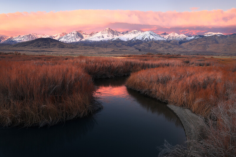 Snow-capped mountain range at sunrise reflected in a meandering stream through golden marsh grasses.