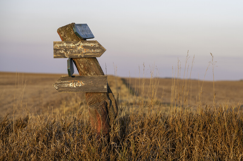 Wooden directional sign with multiple weathered arrows in a dry grassland at dusk.