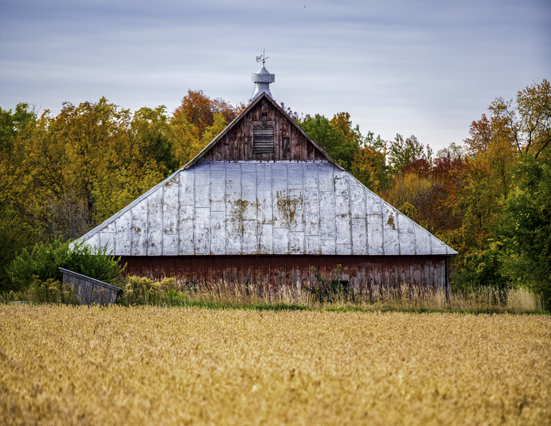 Weathered barn with white-painted upper section and dark wooden lower structure in harvested grain field.