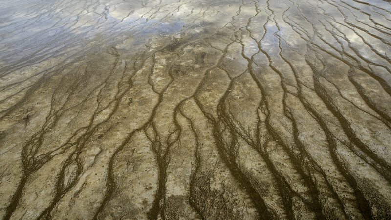 Aerial view of branching channels carved through wet mud and mineral deposits.