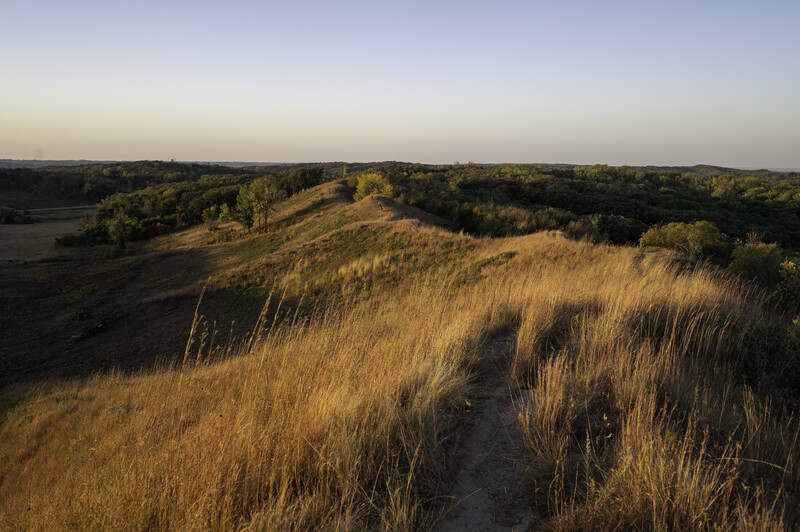 Golden grass field slopes downward toward distant forested valleys under soft evening light.