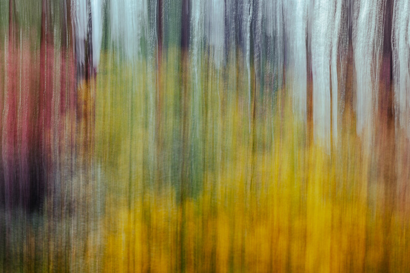 abstract sample