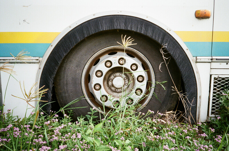 Large truck tire and wheel rim partially buried in blooming flowers against a colorful striped wall.