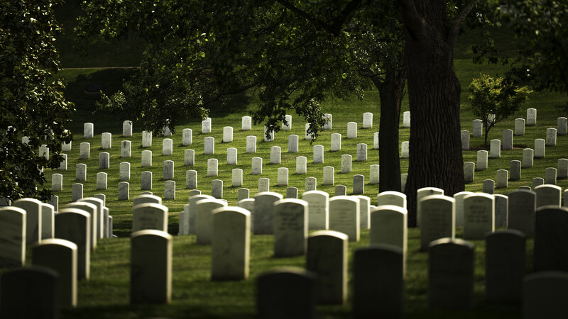Rows of white military headstones in a cemetery beneath large shade trees on sloped grass.
