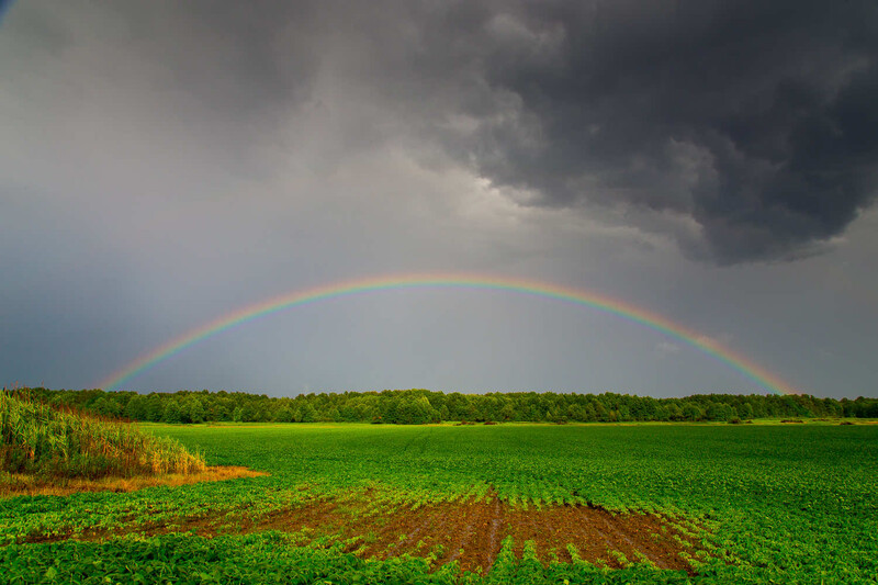 Rainbow arcing across a green agricultural field under dramatic storm clouds.