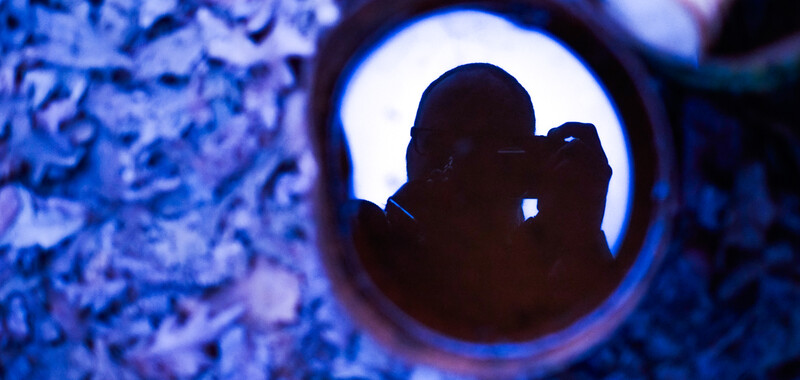 Silhouetted photographer holding camera to face, framed through circular blue-lit opening in textured wall.