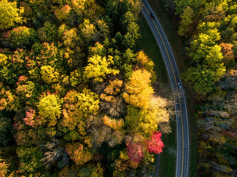 Aerial view of a winding road cutting through autumn forest with vibrant yellow, orange, and red foliage.