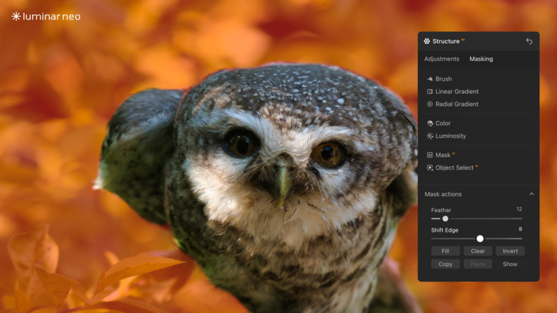 Screenshot of Luminar Neo editing interface showing a meerkat portrait with adjustment panels open.