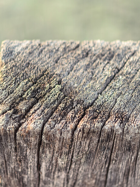 Extreme close-up of brush bristles with directional texture and shallow depth of field.