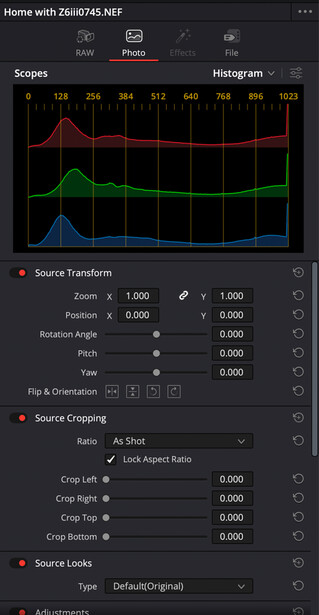Screenshot of photo editing software displaying histogram and tone curve adjustment panels.