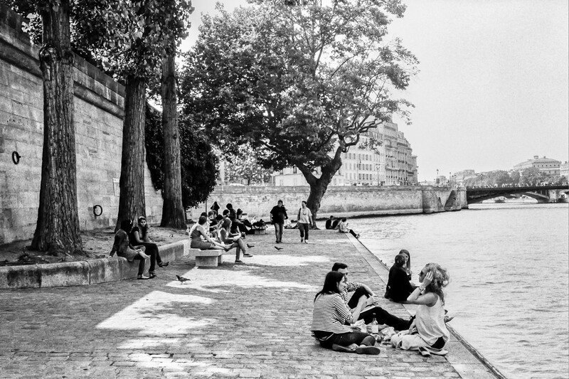 People relaxing on a riverside promenade beneath large trees on a sunny day.