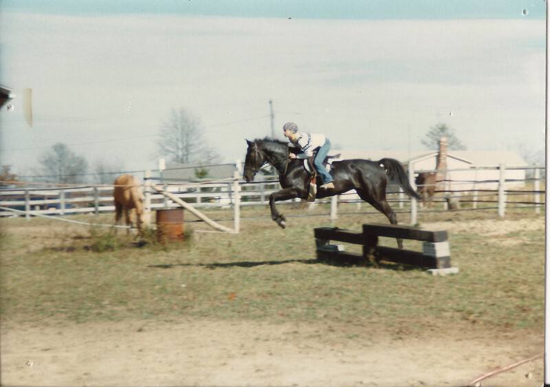 Rider on dark horse jumping over wooden fence obstacle at equestrian event.