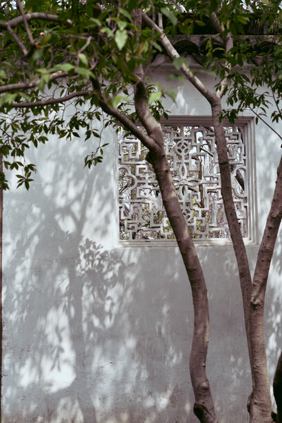 Gnarled tree trunk casting dappled shadows on a weathered white wall with carved stone relief panels.
