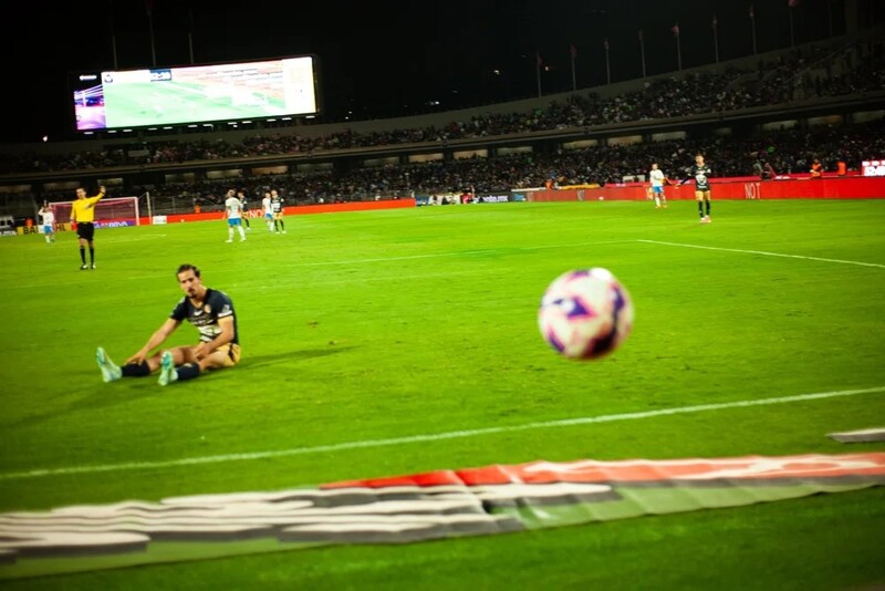 In the pitch. 2024. 