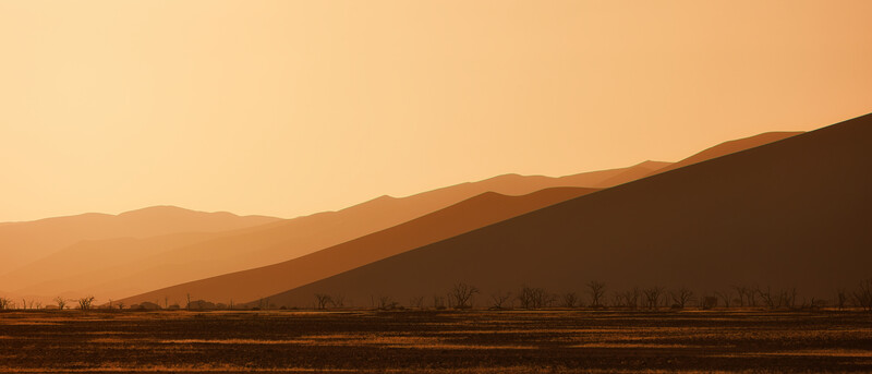 This is one of my favorite images captured last year in the Namib Desert