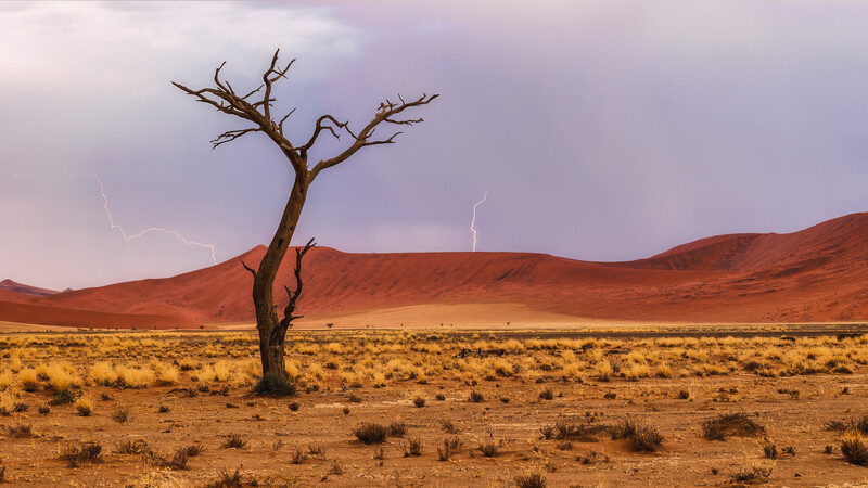 Lighting on the Namib