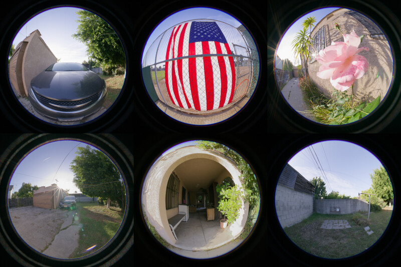 Grid of six circular fisheye lens views showing varied scenes including a car, American flag, pink flower, buildings, and garden areas.