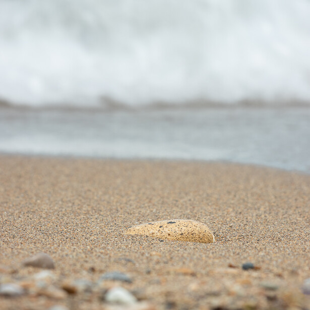 Photo of small rock nestled in sand by the lakefront