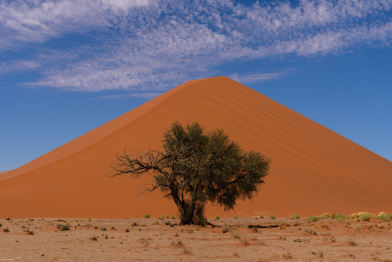 A sand dune in Namibia at 50mm