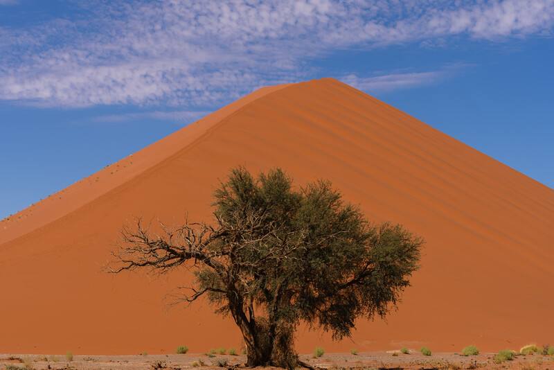 A sand dune in Namibia at 70mm