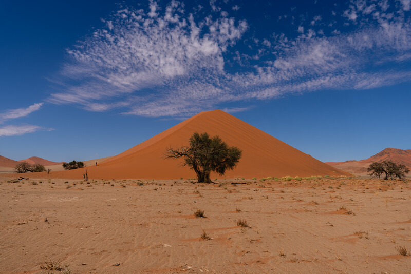 A sand dune in Namibia at 24mm