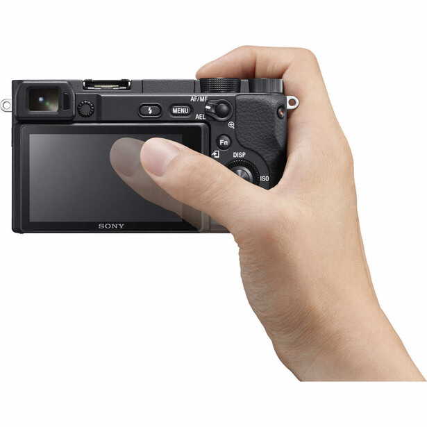 Hand holding Sony mirrorless camera displaying rear LCD screen and control layout
