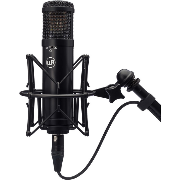 Professional large-diaphragm condenser microphone with shock mount and XLR cable