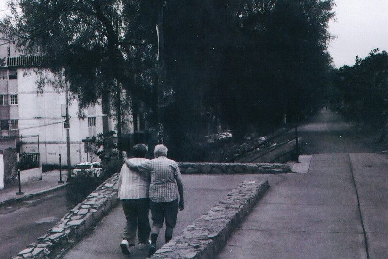 Two elderly people walking away down a tree-lined urban pathway in overcast daylight