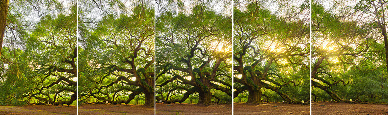 angel oak panoramic image stitch