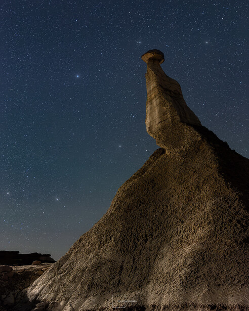Meerkat standing upright on rocky outcrop against starry night sky